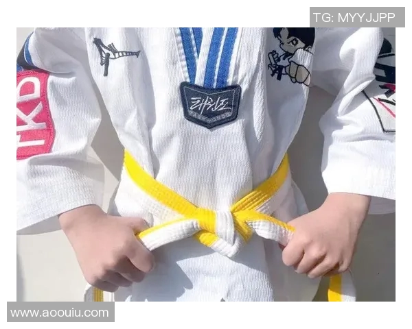 跆拳道文化与技艺传承的创新发展与全球推广之路探讨